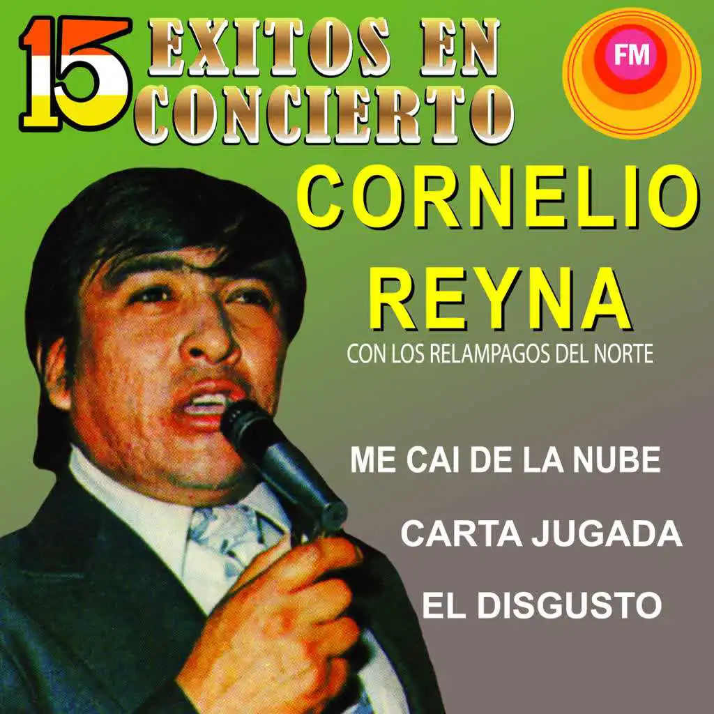 15 Éxitos en Concierto