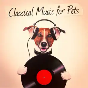 Classical Music for Pets