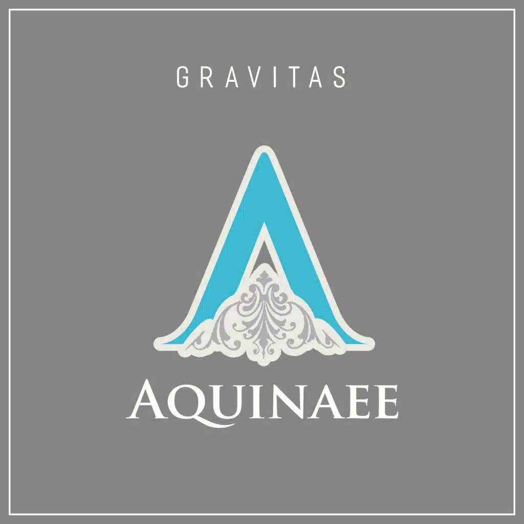 Gravitas (Synphoon Remix)