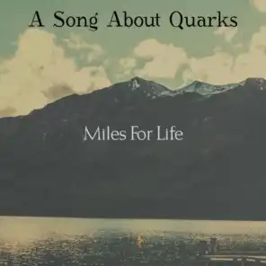 A Song About Quarks