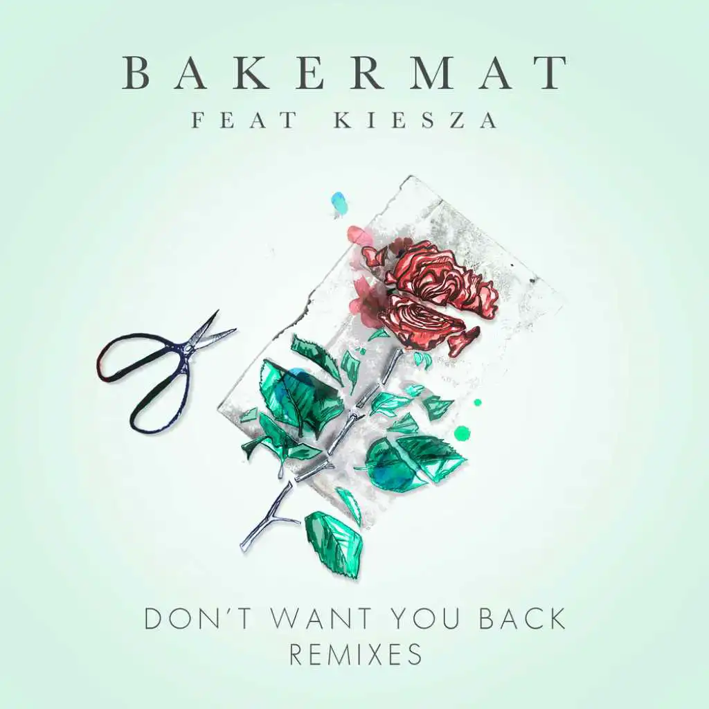 Don't Want You Back (Mat.Joe's Crispy Snack Mix) [feat. Kiesza]