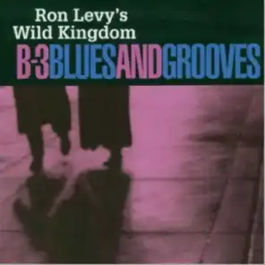 B-3 Blues and Grooves
