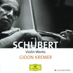 Schubert: Violin Works - 4 CD's