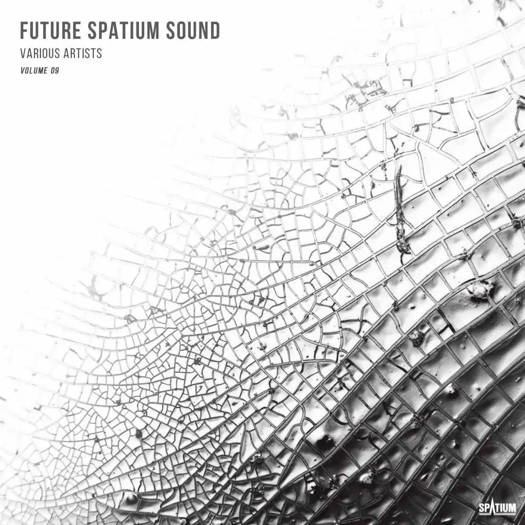 Future Spatium Sound, Vol. 9