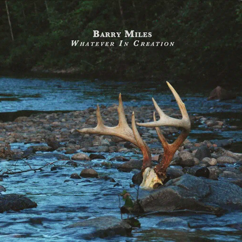 Whatever in Creation