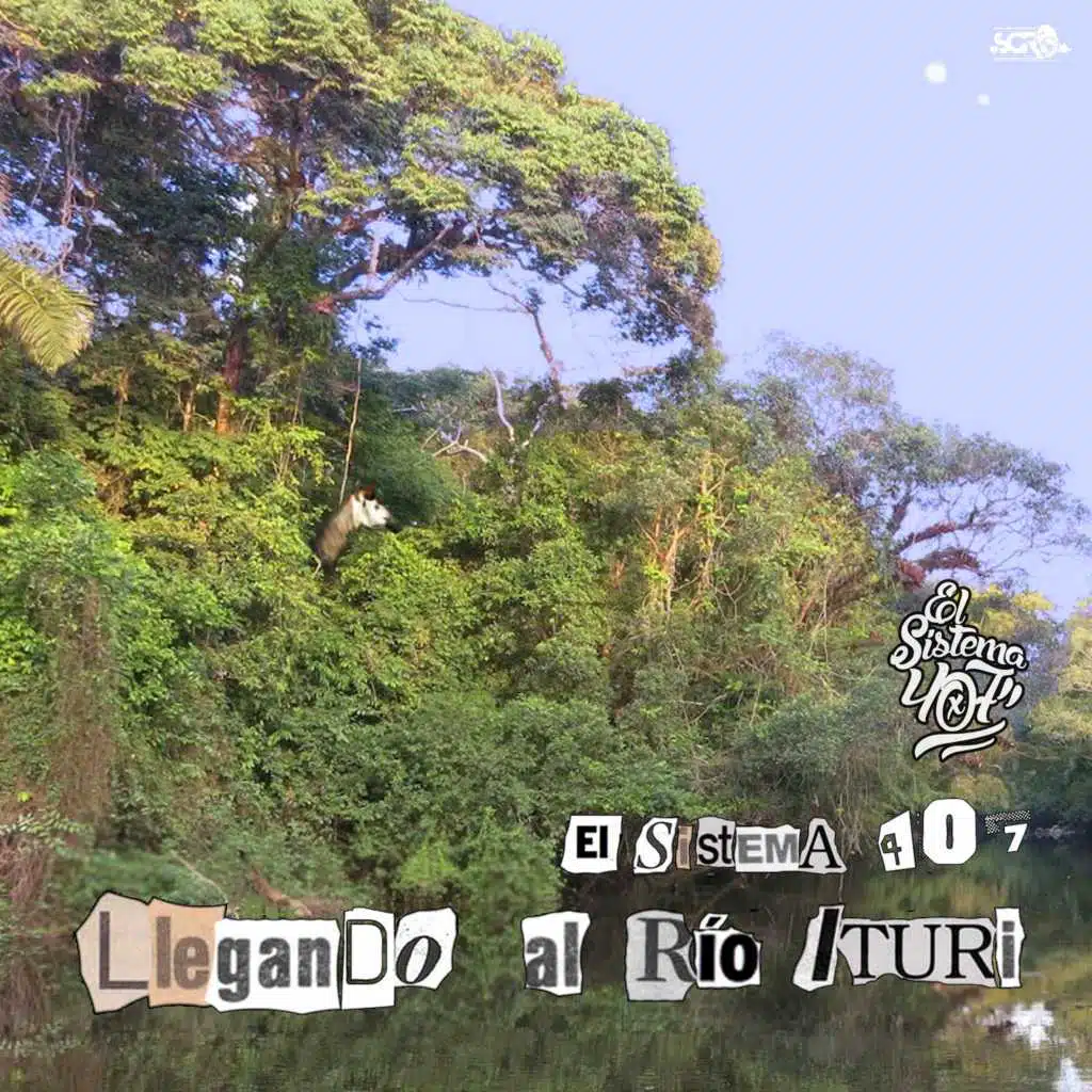 Llegando Al Río Ituri