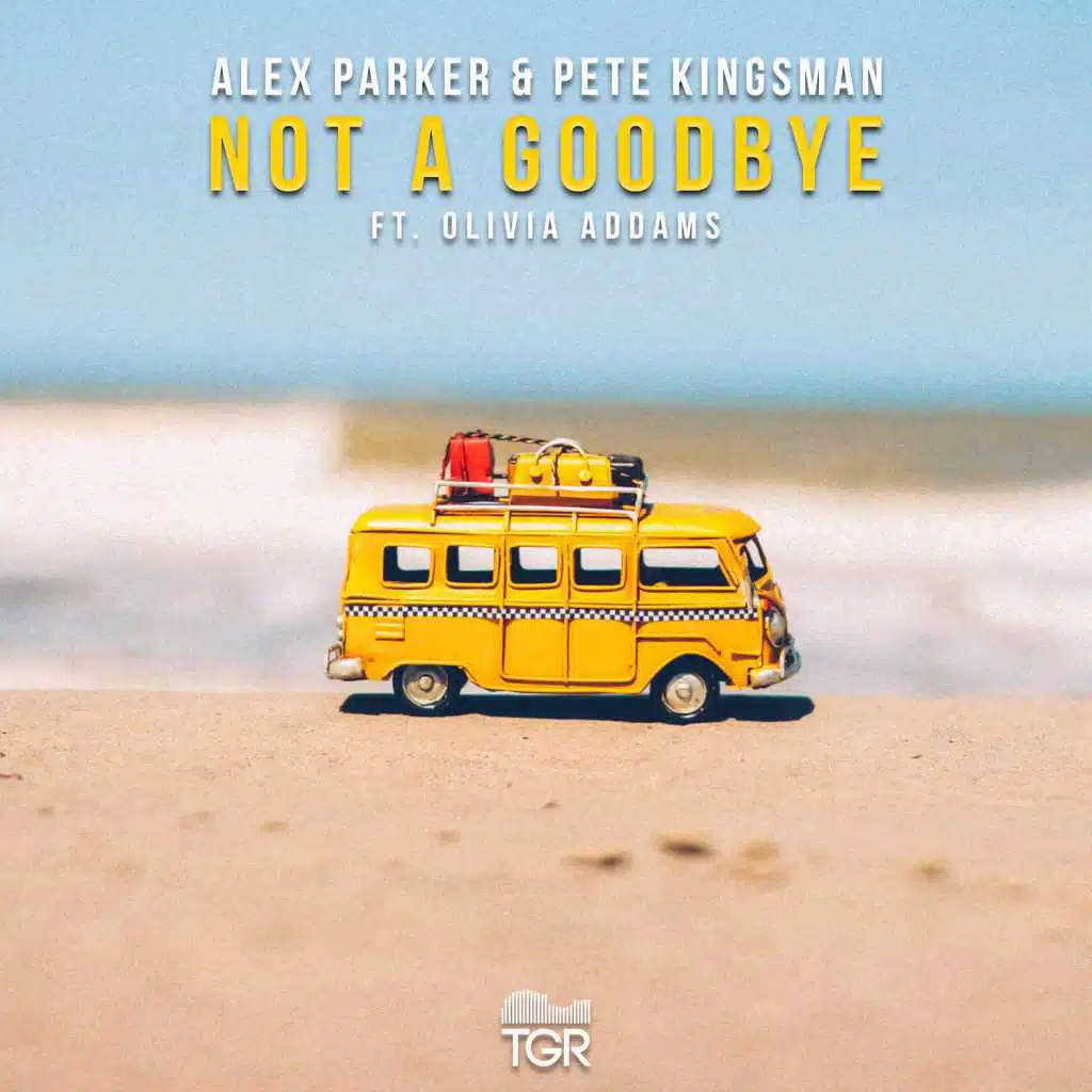 Not a Goodbye (feat. Olivia Addams)