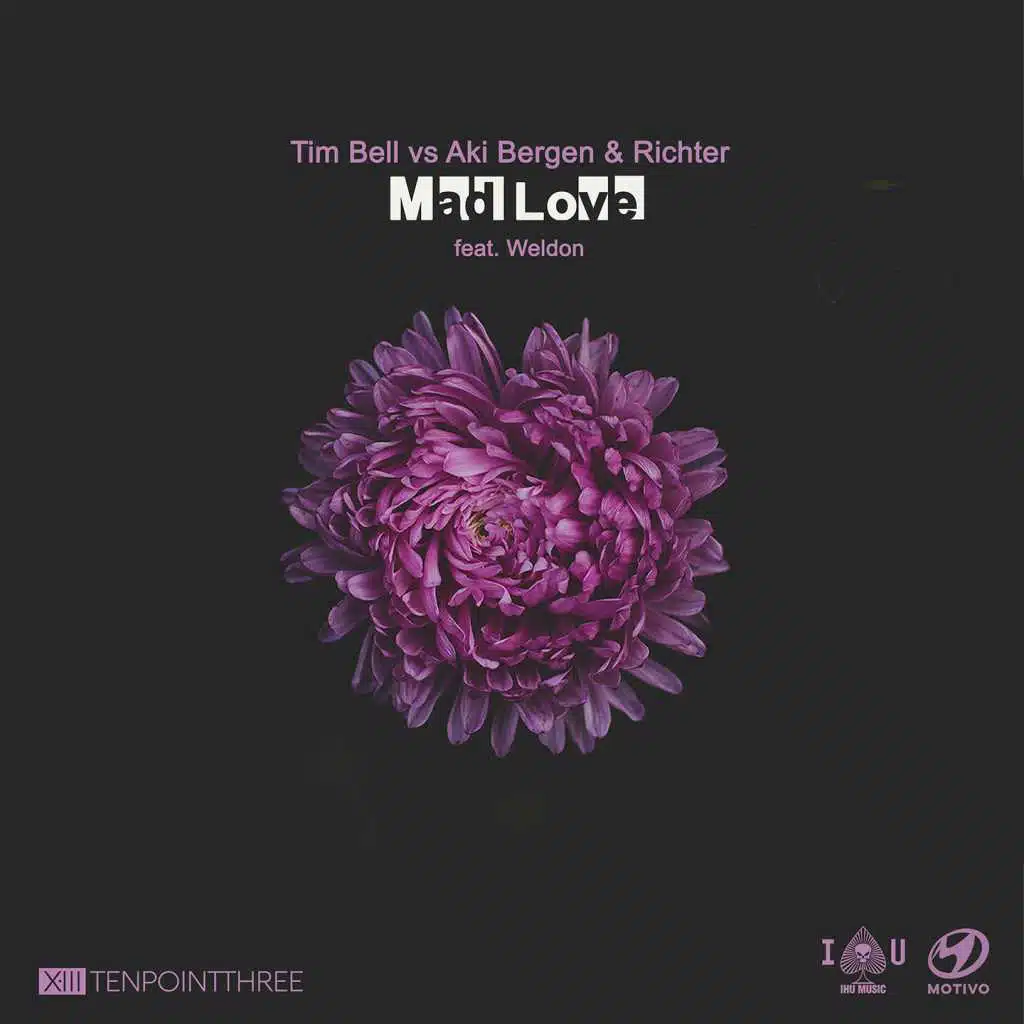 Mad Love (feat. Weldon)