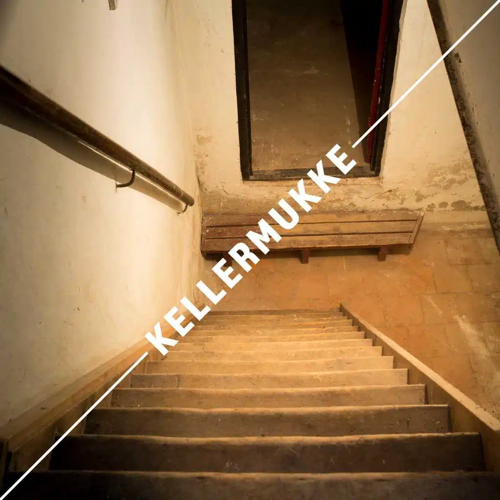 Kellermukke (Tanz & Chill)