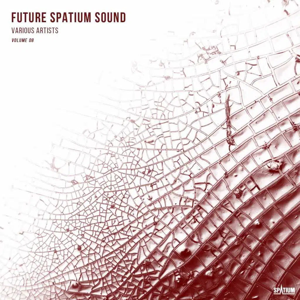Future Spatium Sound, Vol. 8