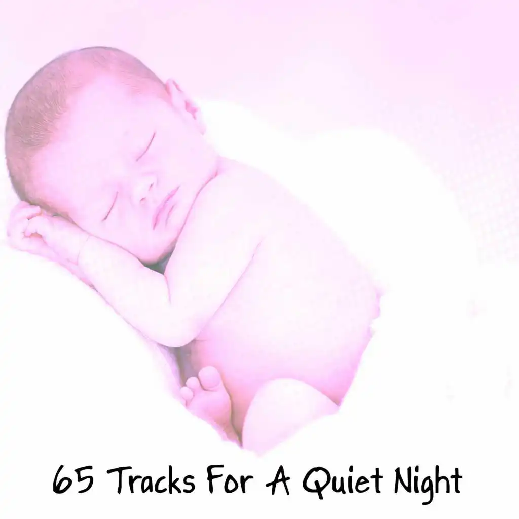 65 Tracks For A Quiet Night