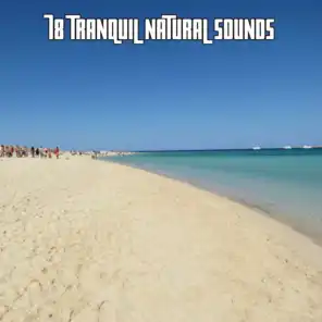 78 Tranquil Natural Sounds