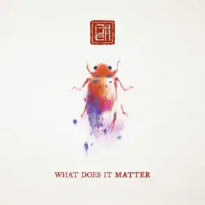 What Does It Matter