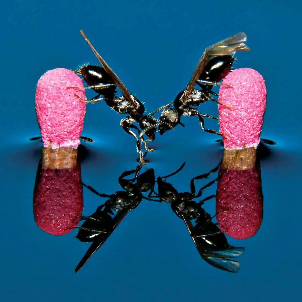 Anticlockwise (feat. Nate Mills)