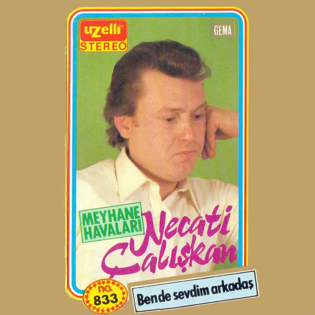 Ben de Sevdim Arkadaş