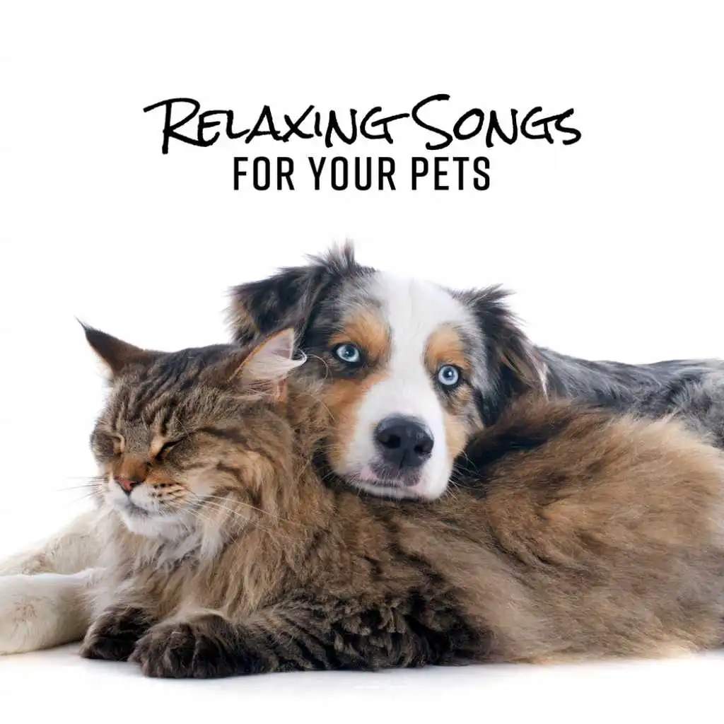 Relaxing Songs for Your Pets