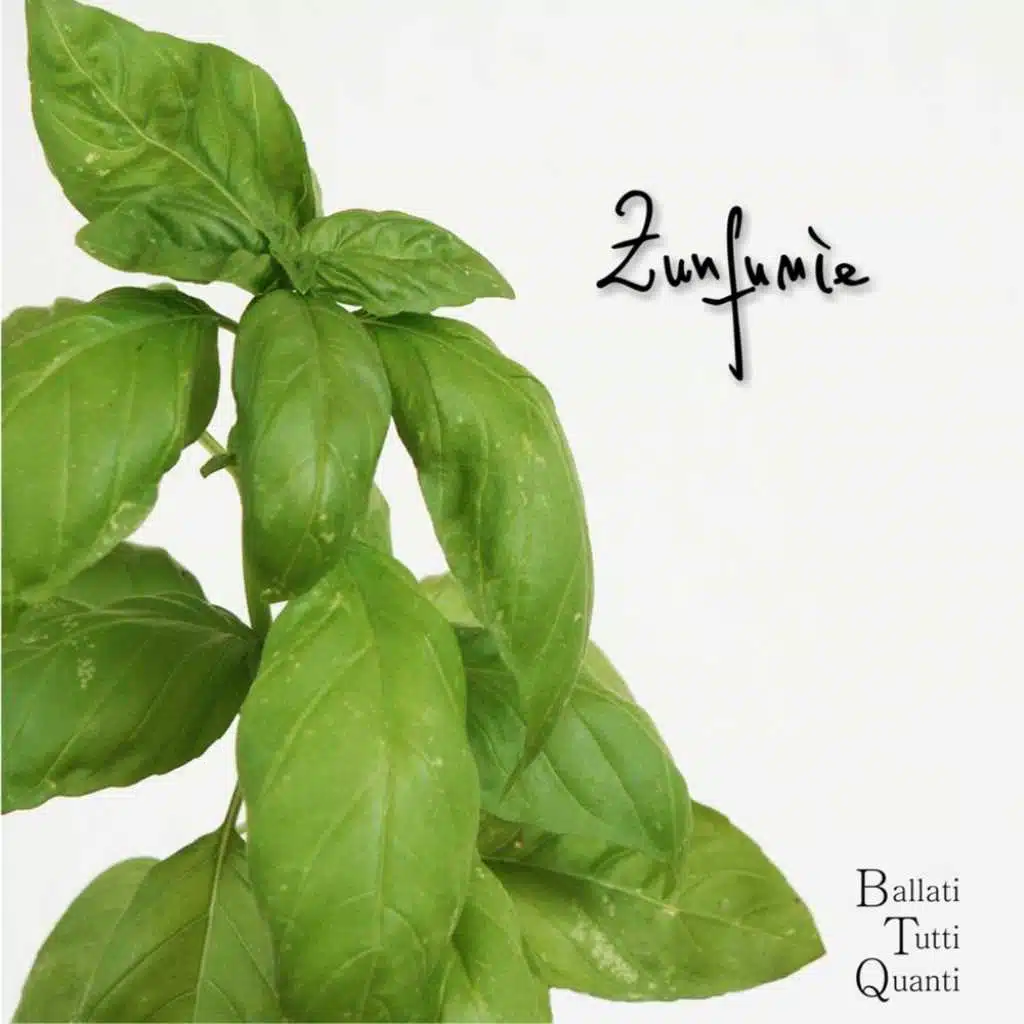 Zunfunìe