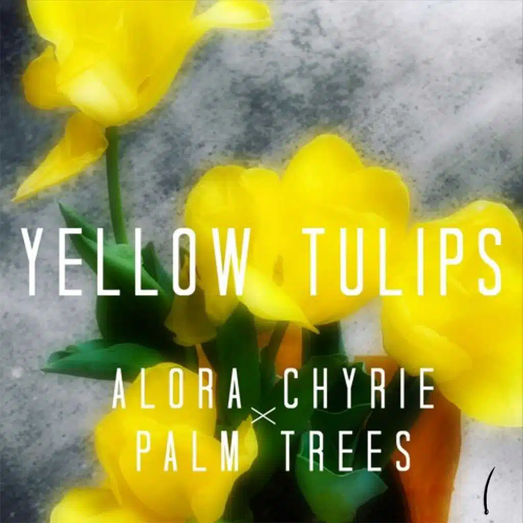 Yellow Tulips