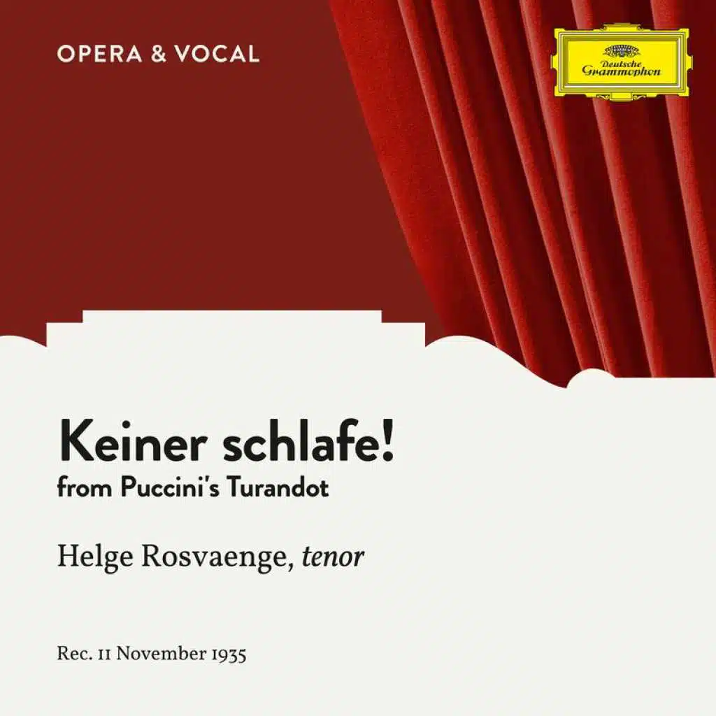 Puccini: Turandot, SC 91: Keiner schlafe! (Sung in German)