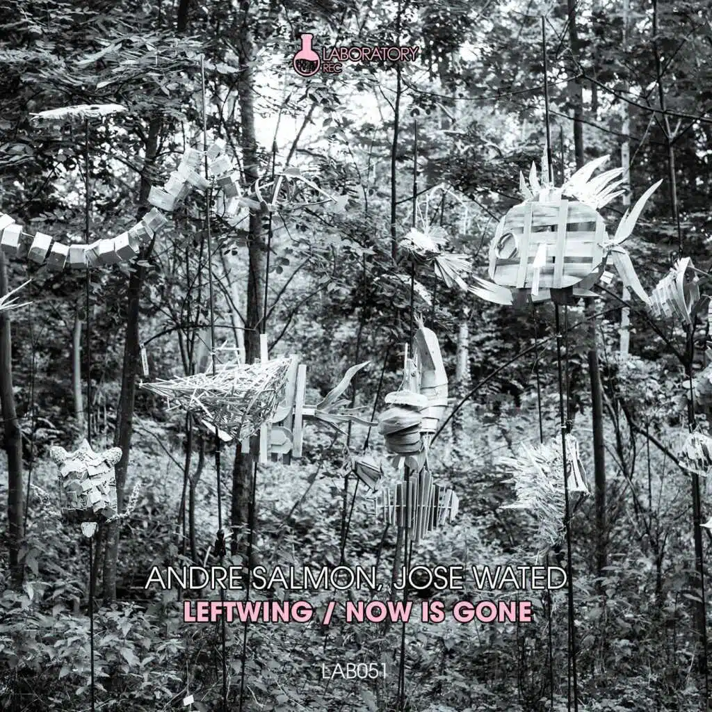 Andre Salmon, Jose Wated