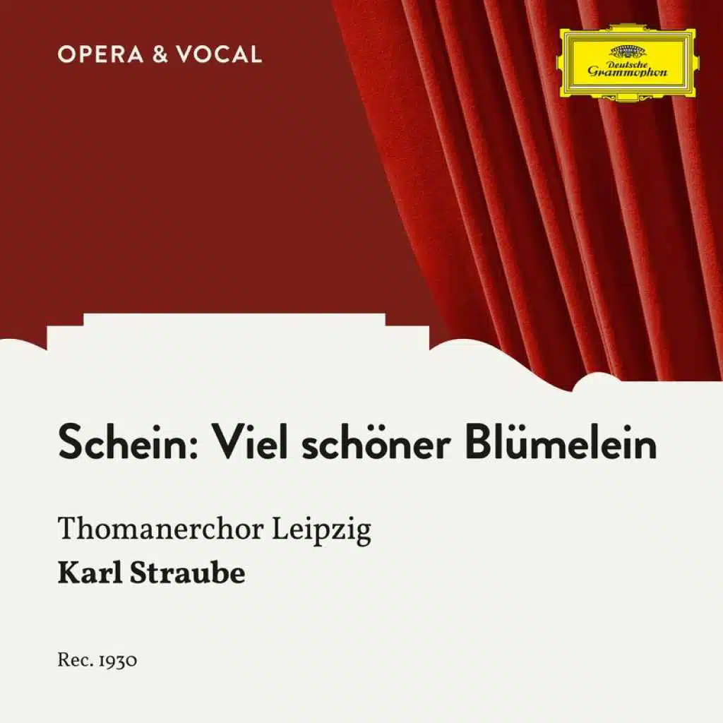 Viel schöner Blümelein