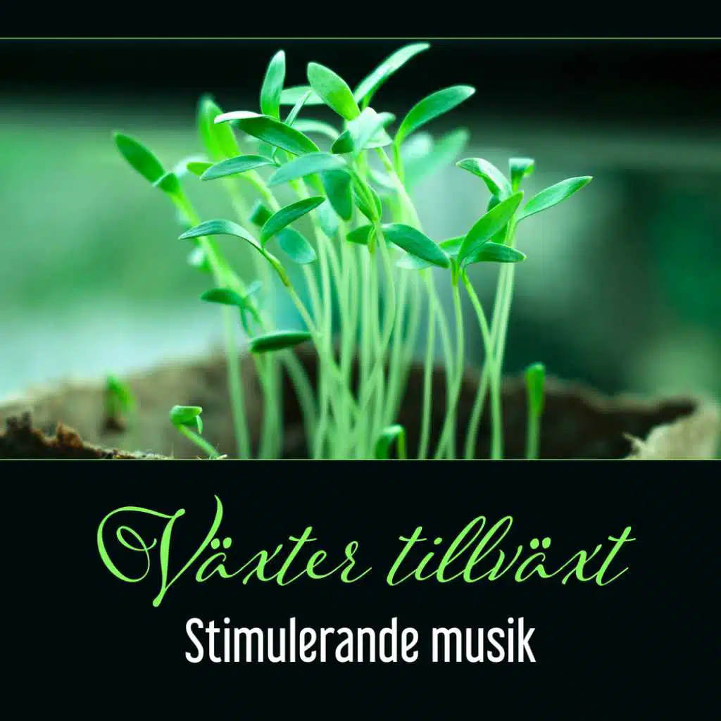 Växter tillväxt - Stimulerande musik, Instrumental zenmusik för perfekt effekt av regenerering av växter
