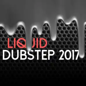 Liquid: Dubstep 2017