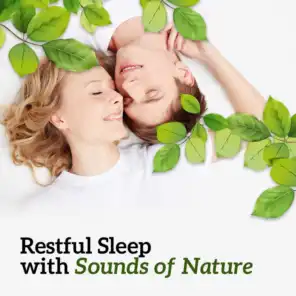 Restful Sleep with Sounds of Nature