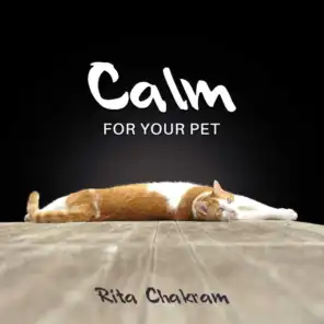 Calm for Your Pet