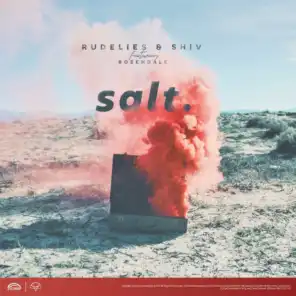 Salt (feat. Rosendale)