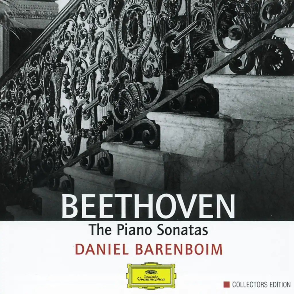 Beethoven: The Piano Sonatas (9 CD's)