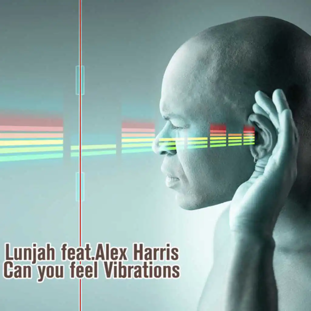 Can You Feel Vibrations (Ufo Remix) [feat. Alex Harris]