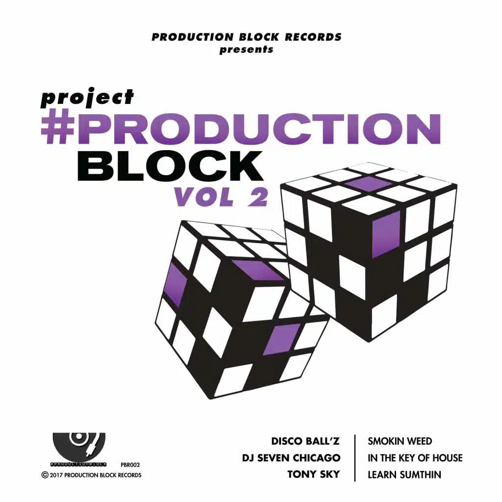 Project Production Block, Vol. 2