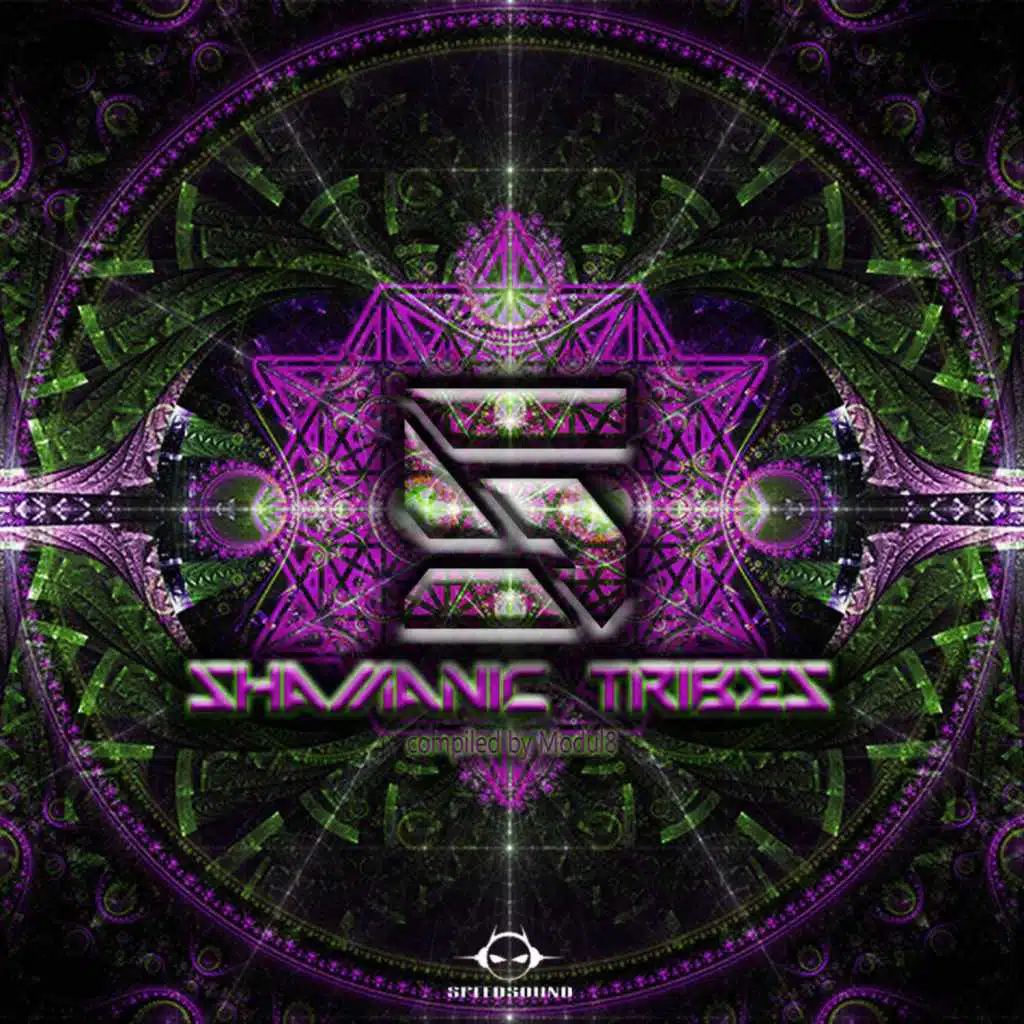 Shamanic Tribes Vol.5, Compiled By Modul8