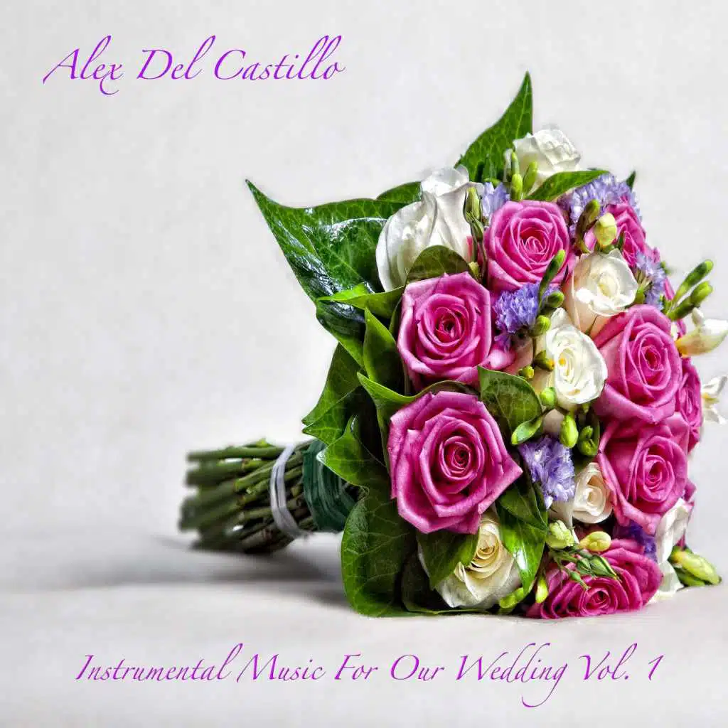 Instrumental Music for Our Wedding, Vol. 1