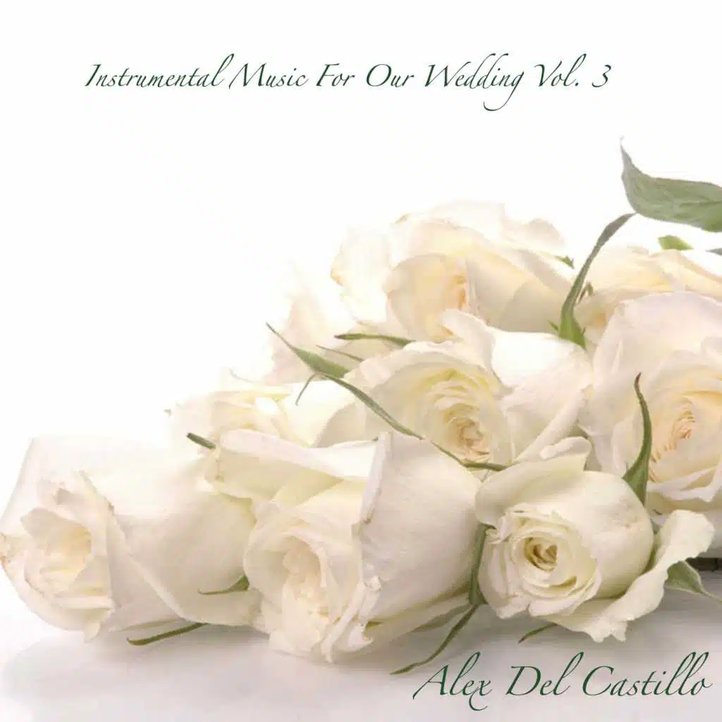 Instrumental Music for Our Wedding, Vol. 3