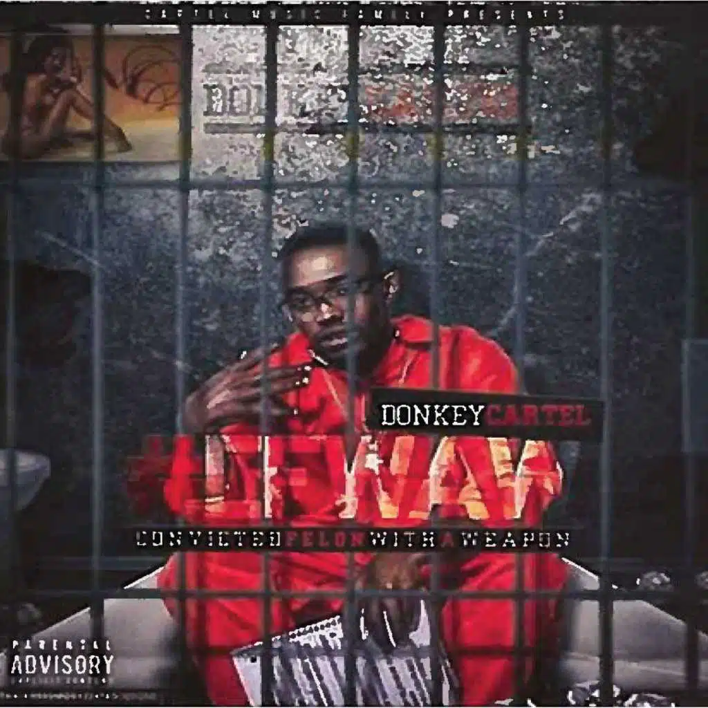 Convicted Felon With a Weapon