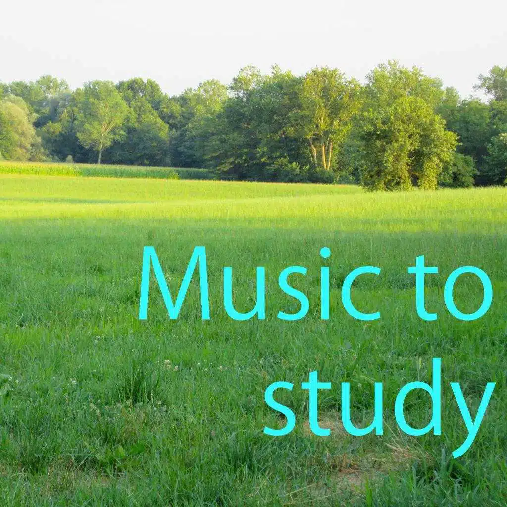 Music to Study Vol. 1