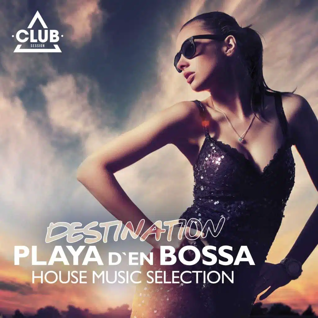 Fly Me High (Muzzaik Remix) [feat. Mark Novak & SharyAnn]