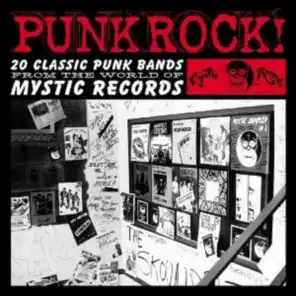 Punk Rock! 20 Classic Punk Bands from Mystic Land