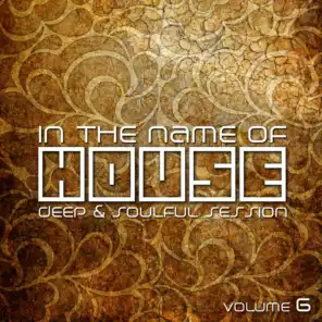 In the Name of House, Vol. 6