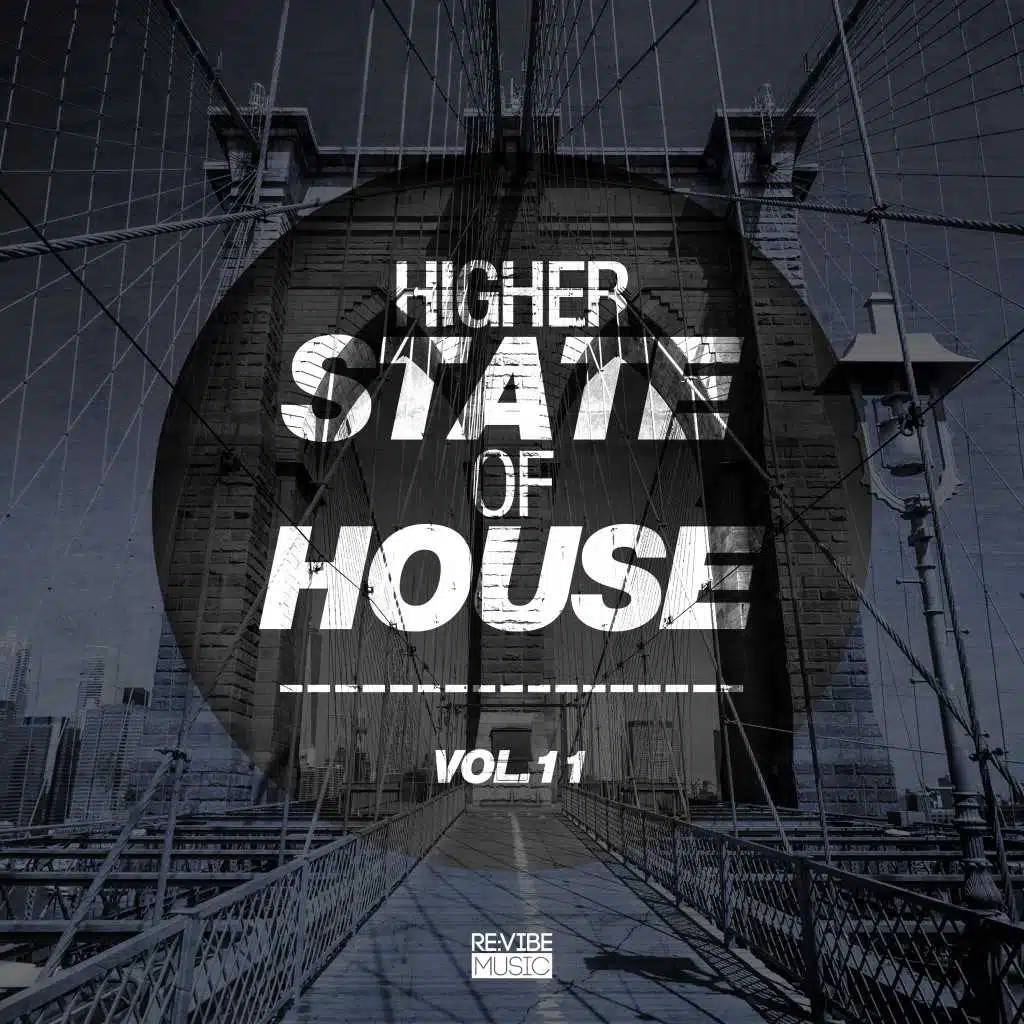 Higher State of House, Vol. 11