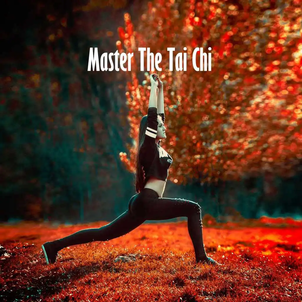 Master The Tai Chi