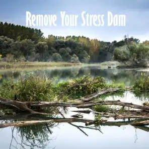 Remove Your Stress Dam