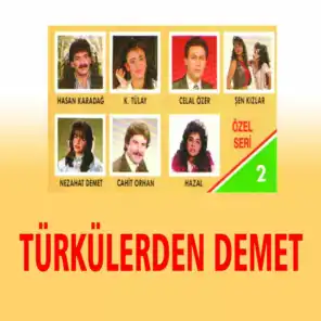 Türkülerden Demet, Vol. 2