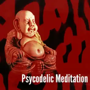 Psycodelic Meditation