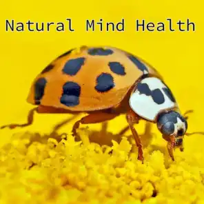 Natural Mind Health