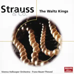 Wiener Volksopernorchester & Franz Bauer-Theussl