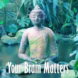 Your Brain Matters