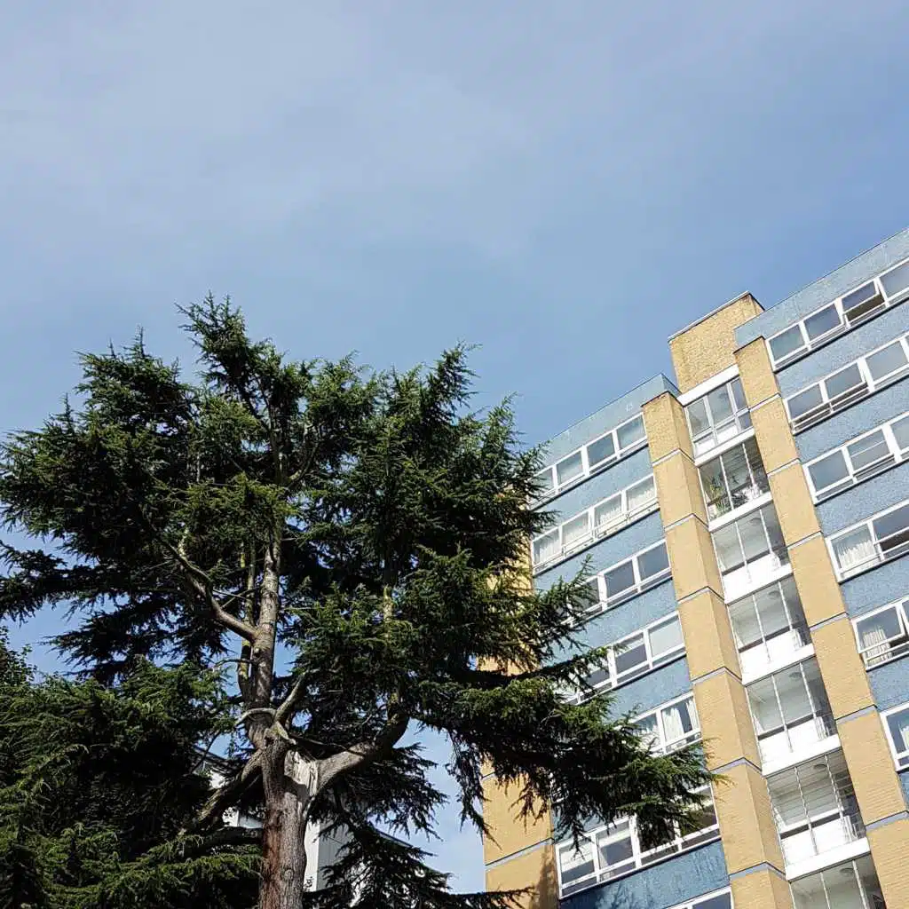 Still (feat. Jessica Enemark)